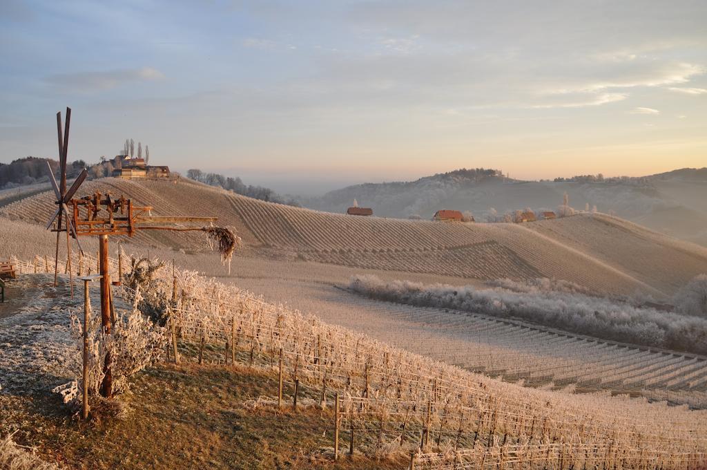 Weingut Koegl Bed and Breakfast Ratsch an der Weinstraße Εξωτερικό φωτογραφία