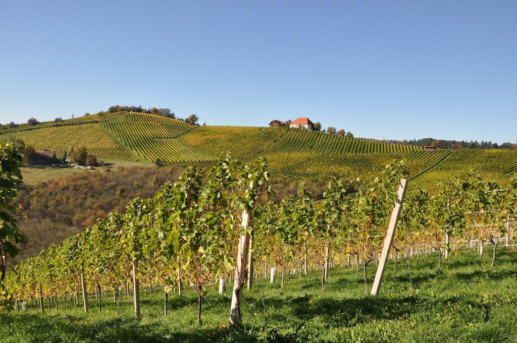 Weingut Koegl Bed and Breakfast Ratsch an der Weinstraße Εξωτερικό φωτογραφία